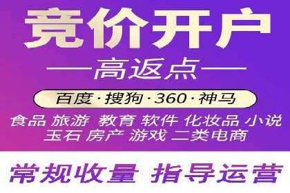 百度竞价代理实战：案例剖析与优化策略